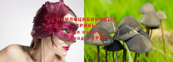 стафф Горно-Алтайск