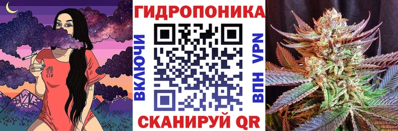 Шишки марихуана SATIVA & INDICA  MEGA маркетплейс  Арзамас 